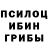 Галлюциногенные грибы Psilocybe CHIP9187