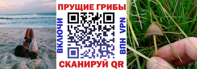 Псилоцибиновые грибы прущие грибы  Купить закладки  Новая Ляля 